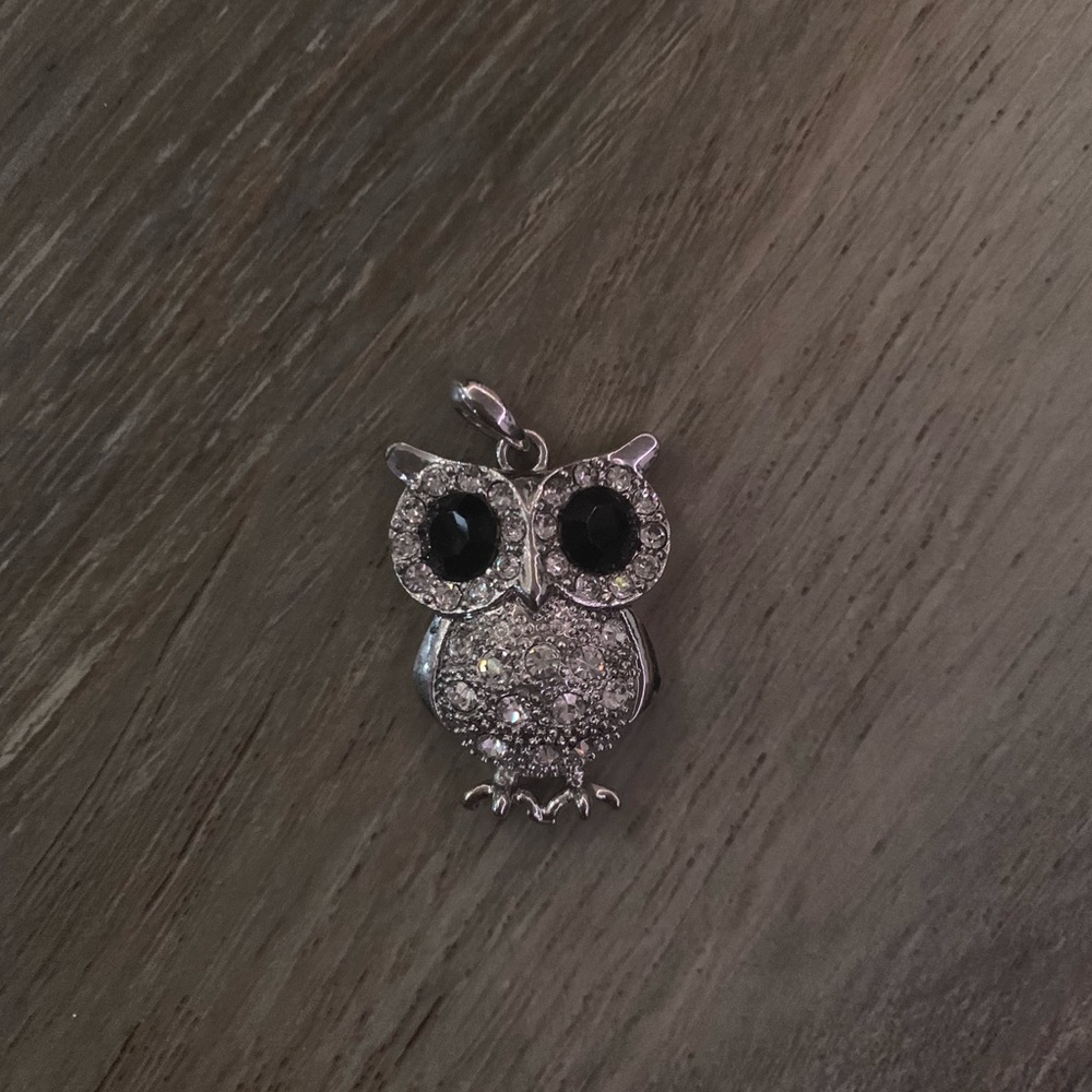 Silver owl charm